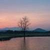 夕日の帰り道