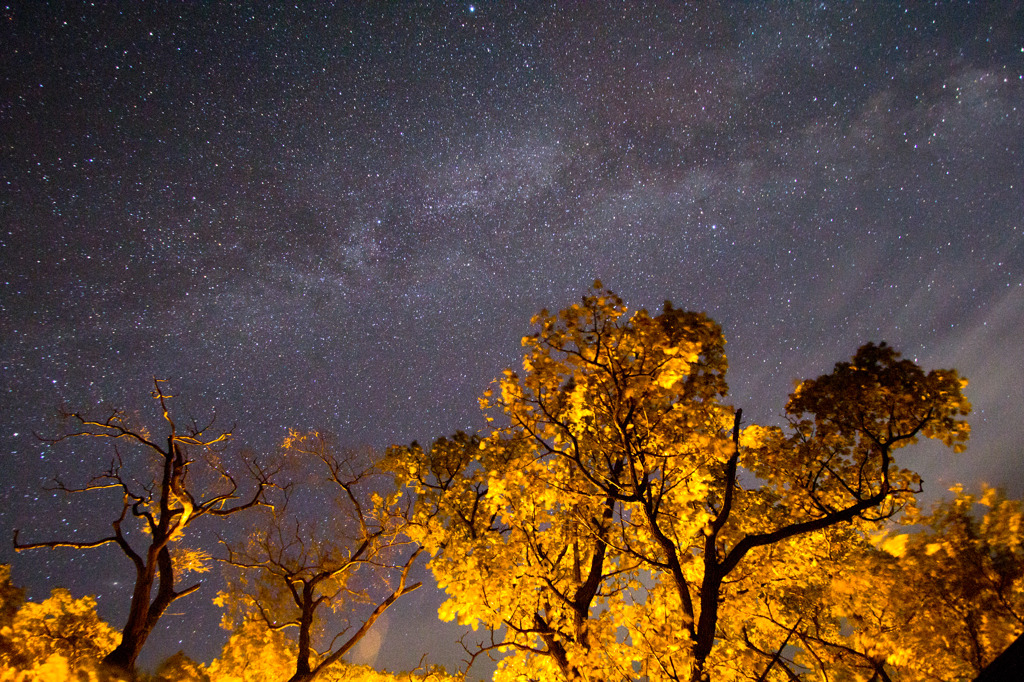 紅葉と天の川