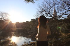 『新しい一年への希望の夕日』