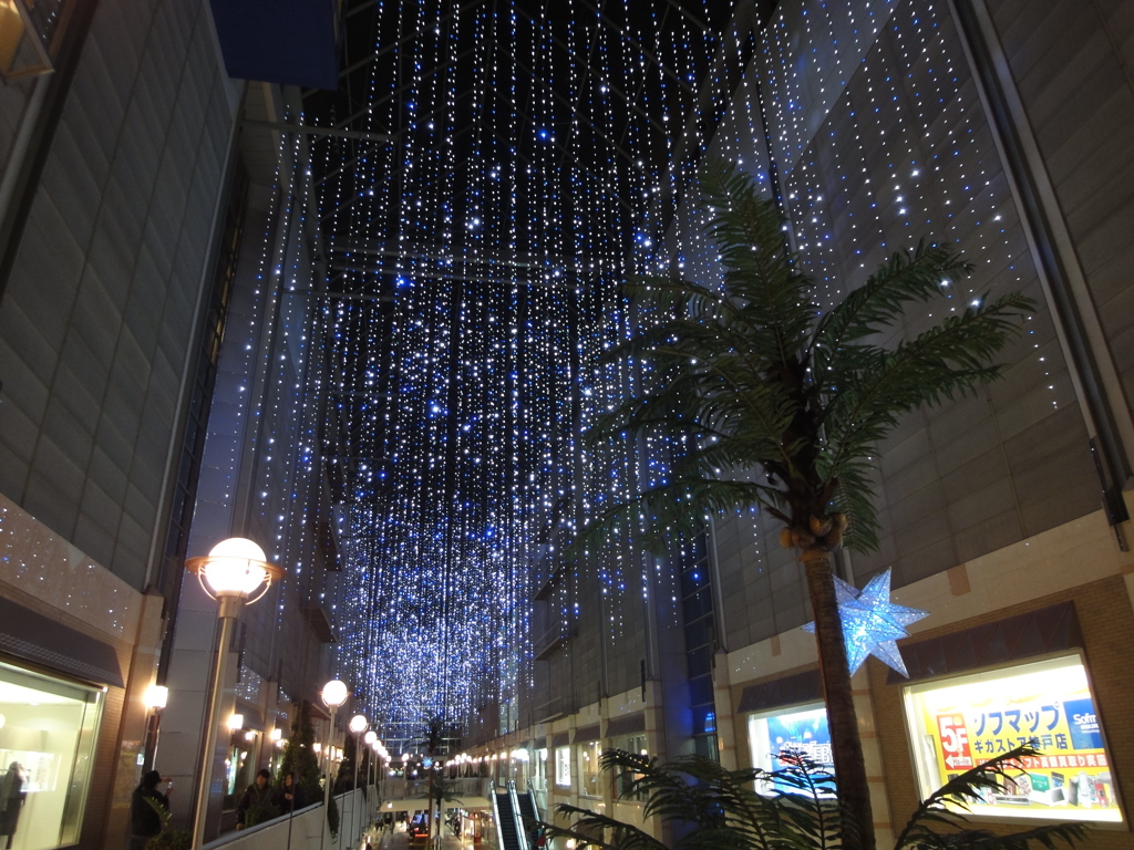 キャナルガーデン(神戸ハーバーランド)