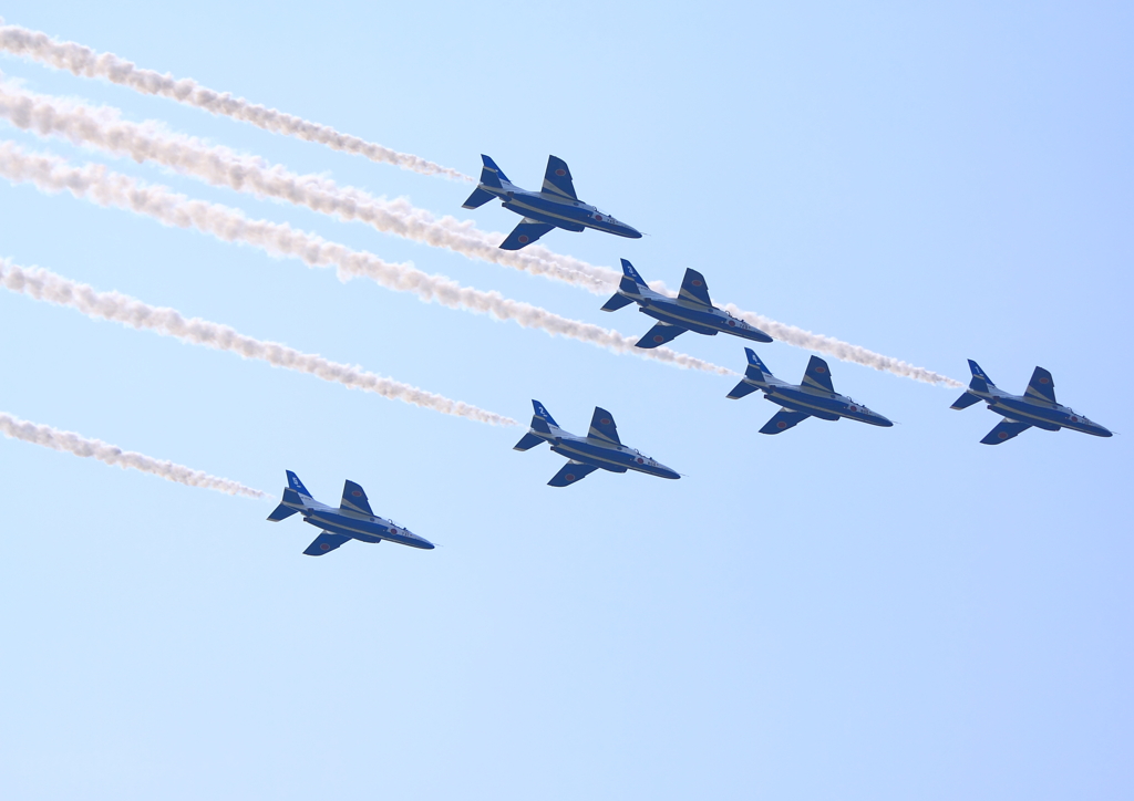 大空を舞うイルカ達