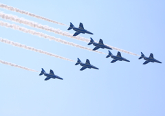 大空を舞うイルカ達