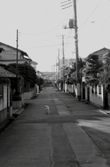 散歩道