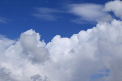 "青空"という名に相応しく