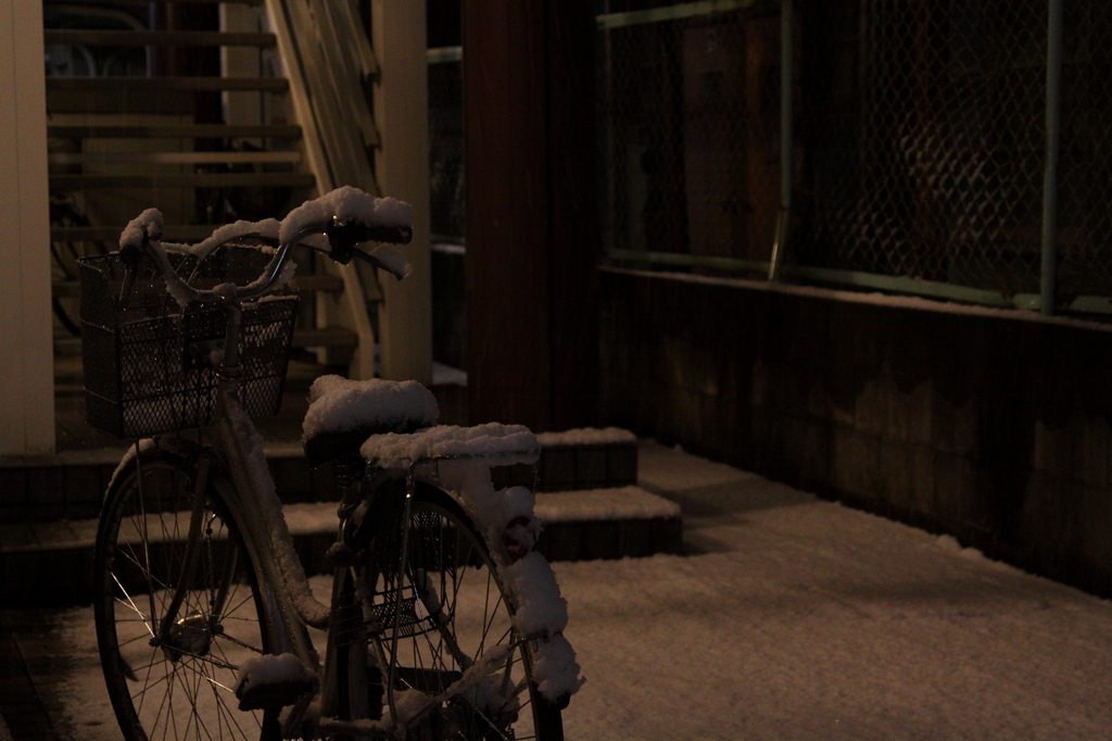 White Night...