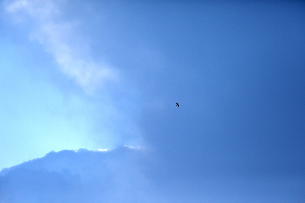 blueblue