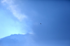 blueblue
