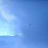 blueblue