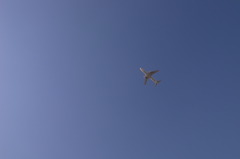 R0029462