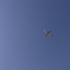 R0029462