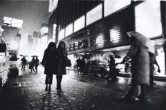 GEKKO_0029