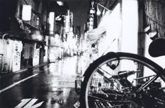 GEKKO_0041