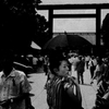 yasukuni0079