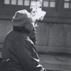 GEKKO_0015