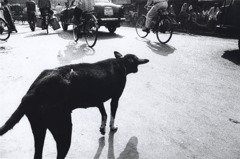 2001ind00015