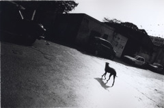 2001ind00037