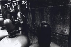 GEKKO_0027