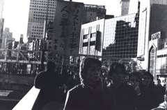GEKKO_0032