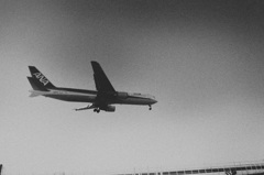 R0029438