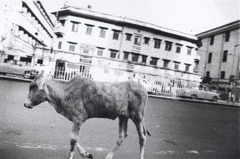 2001ind00014