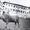 2001ind00014
