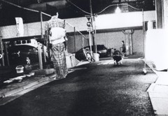 GEKKO_0037