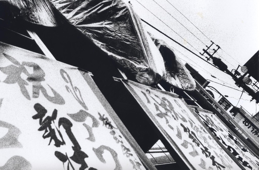 GEKKO_0026