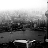 shanghaibw0310