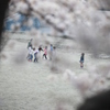 花一もんめ