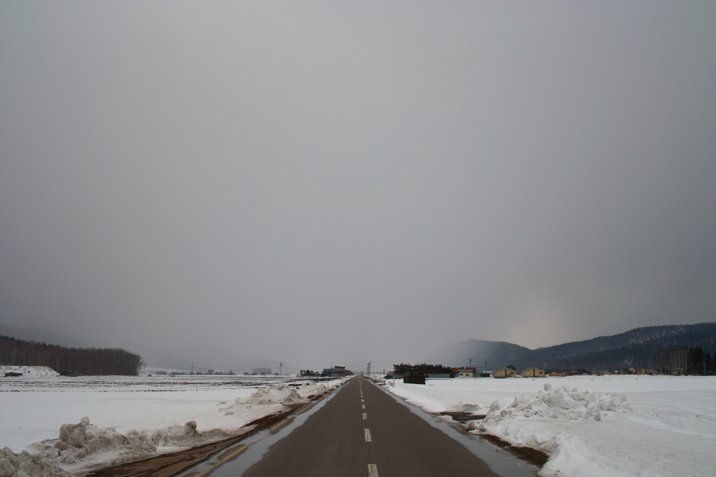 2010/03/23(曇)