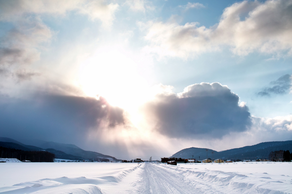 2010/02/21(晴れているが雪）