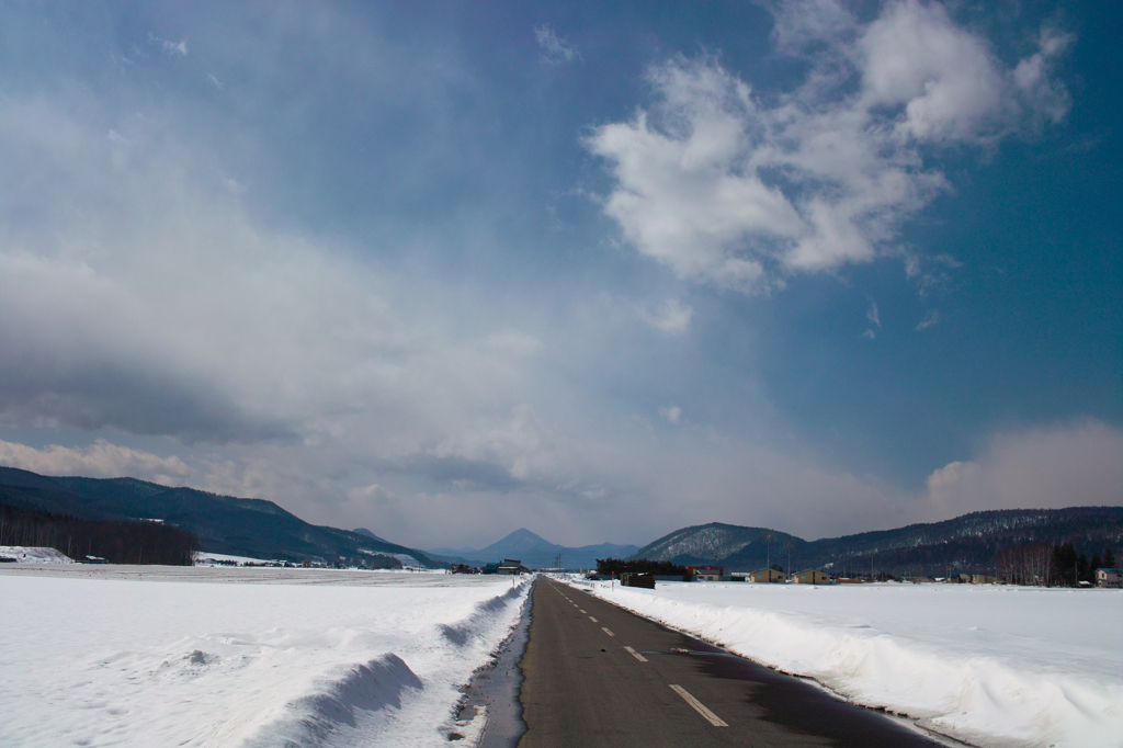 2010/03/07(晴)