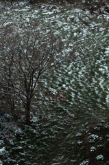 2013年5月7日　雪