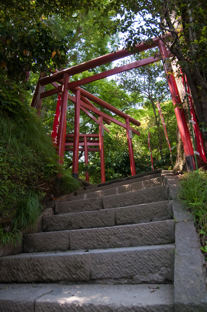 神々しい。