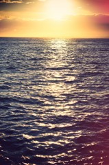 湘南夕日