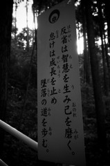 自戒
