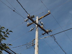 電柱