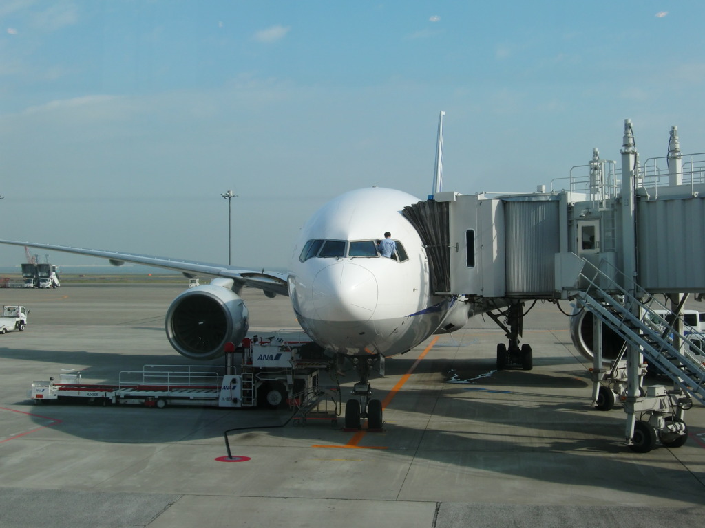 窓拭き、かな？