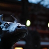 干支交代…