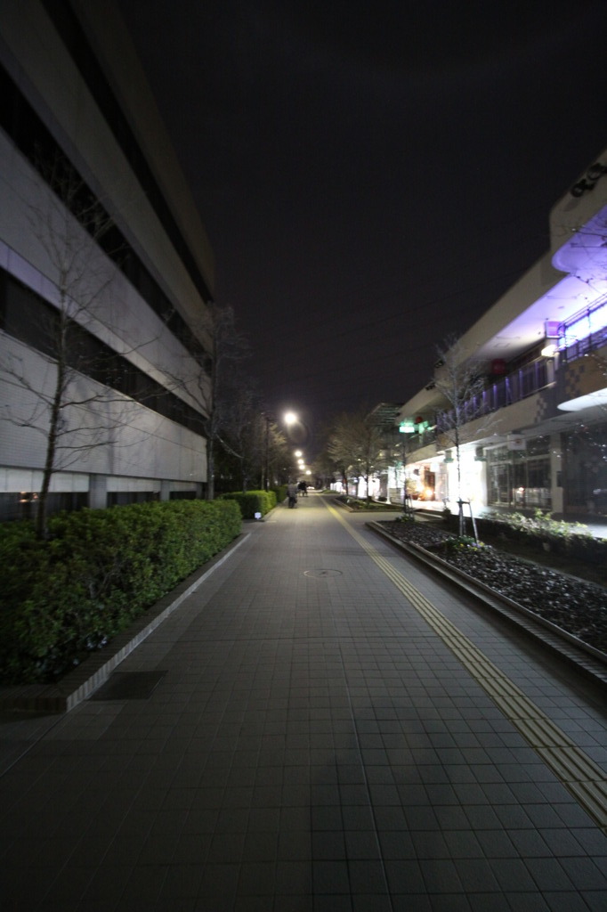 いつもの帰り道