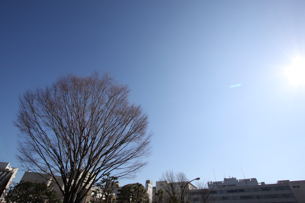 冬の晴天