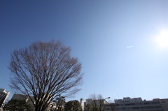 冬の晴天