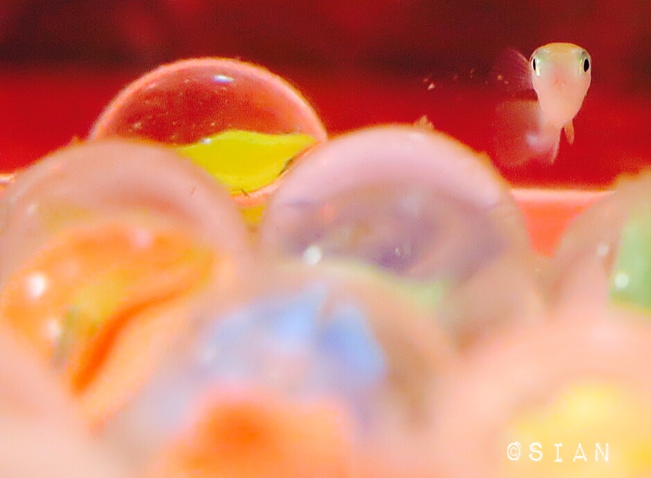 ♪目と目で通じ合う