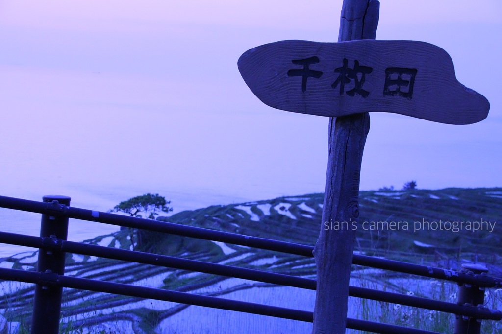 千枚田。