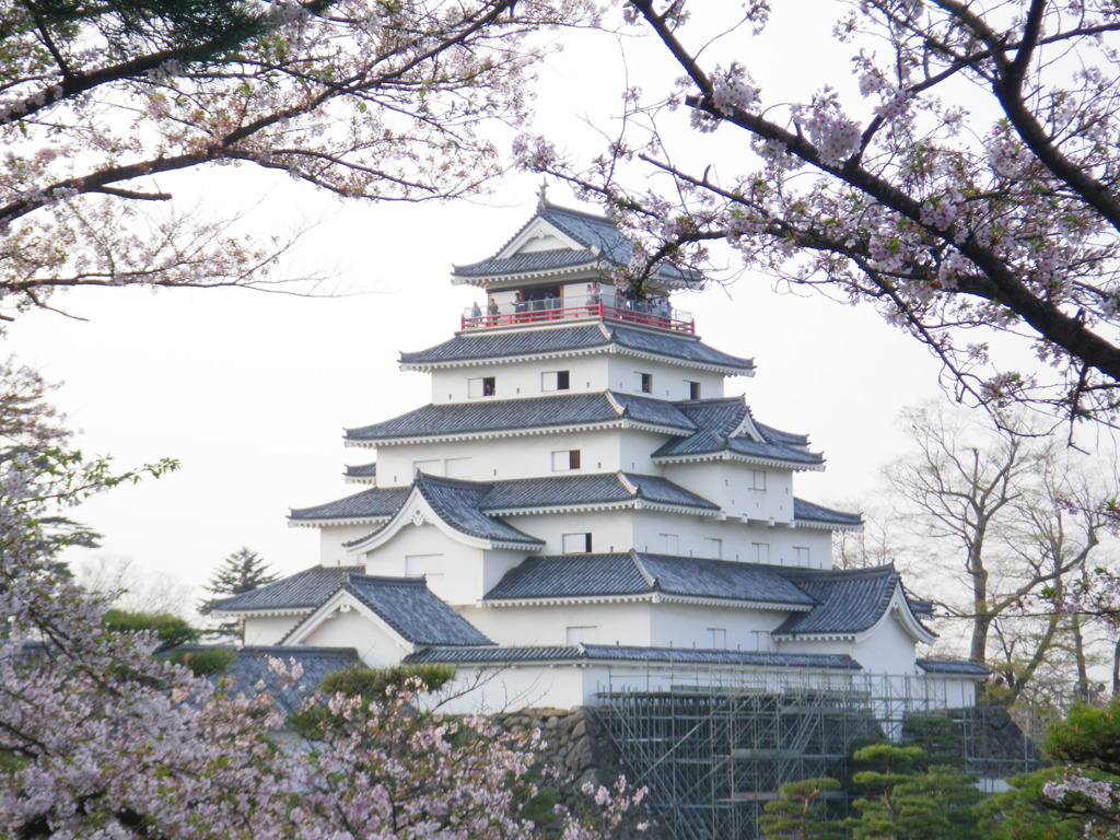 ５月の鶴ヶ城