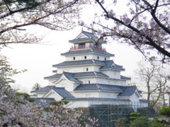 ５月の鶴ヶ城