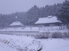 雪やこんこん