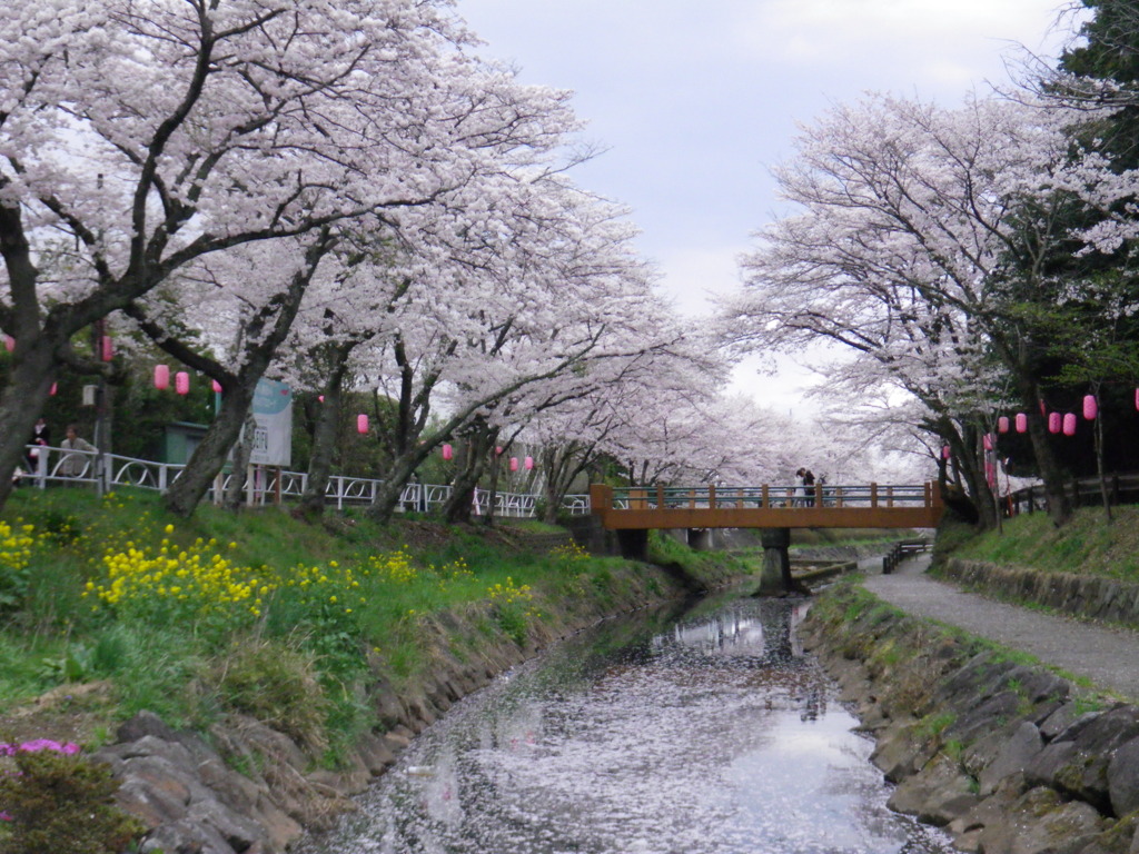 春の小川