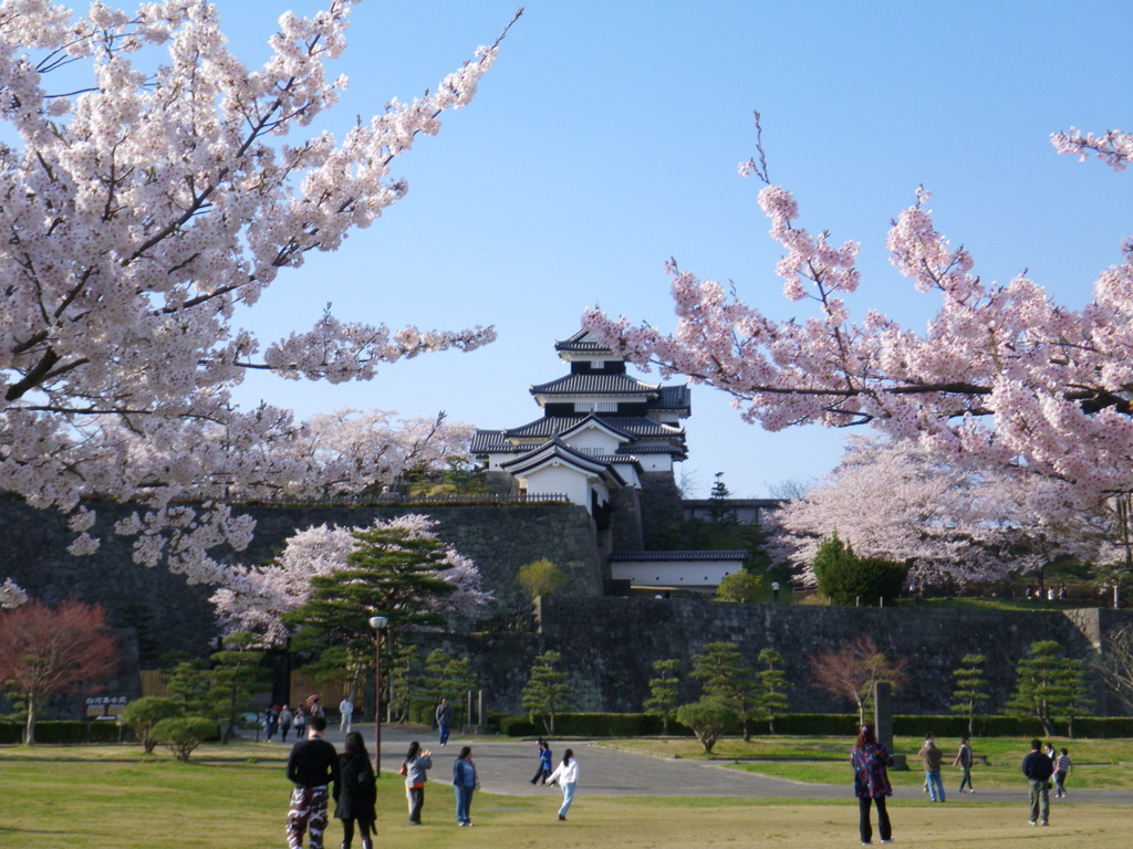 春の小峰城