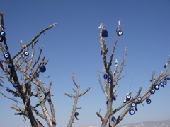 tree of ナザールボンジュ